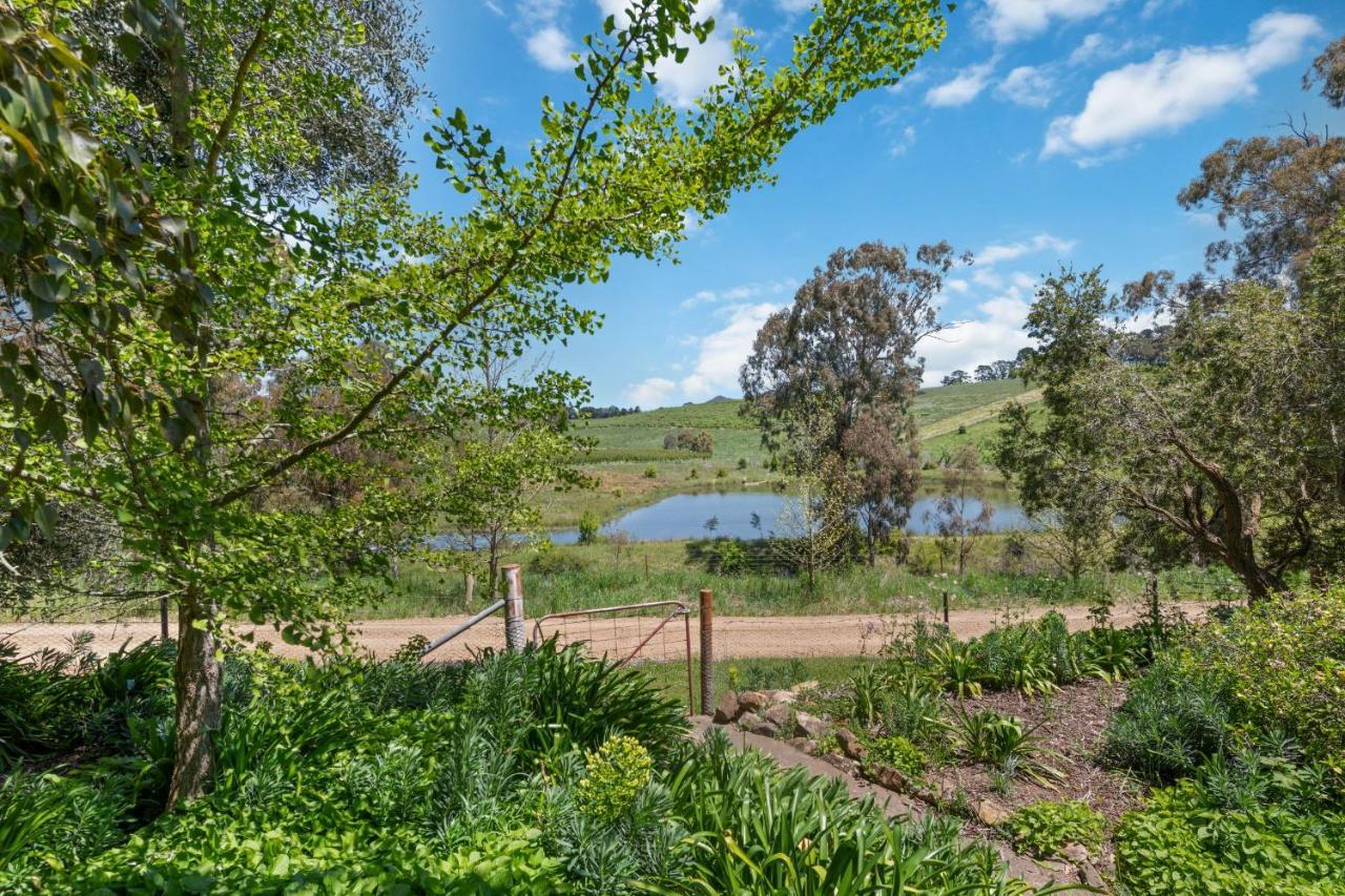 Bendalong - Rural Retreat, Short Drive To Cbd Vila Orange Exterior foto