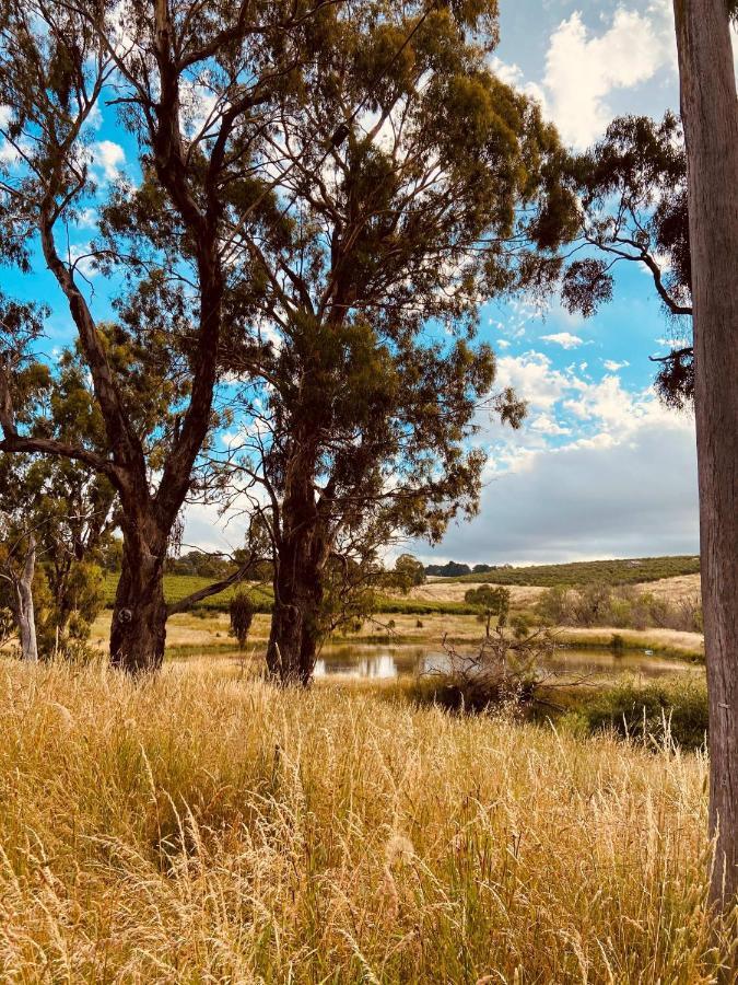 Bendalong - Rural Retreat, Short Drive To Cbd Vila Orange Exterior foto
